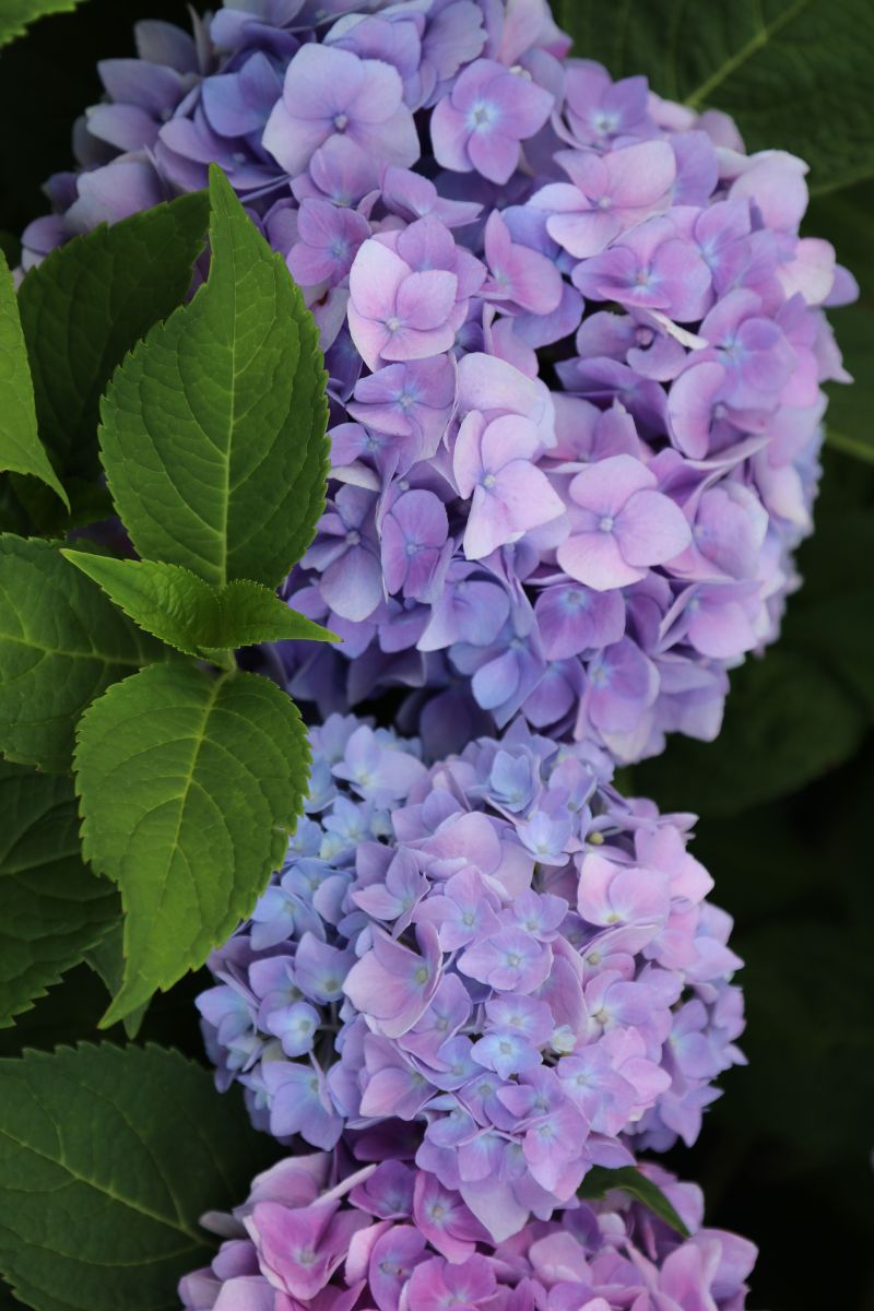 What’s New and Fresh, 7 Jul 2019