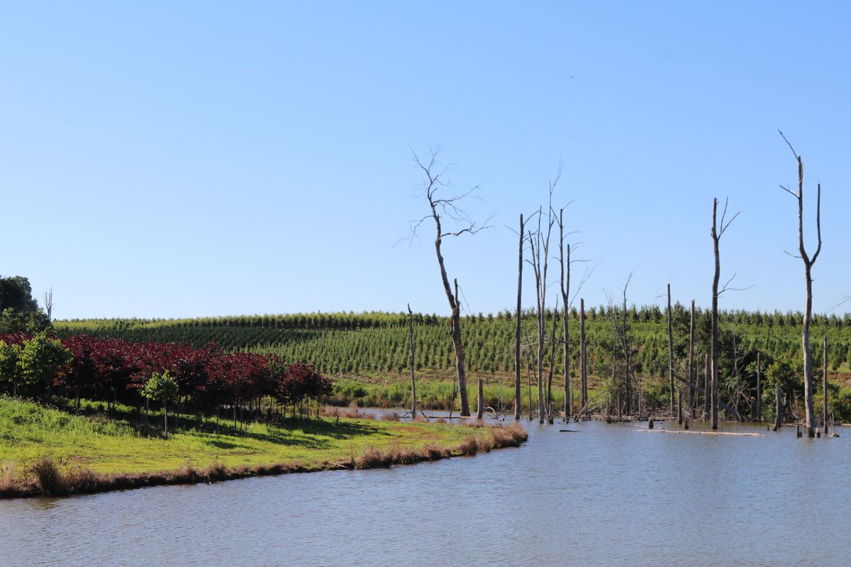 In the Field, 19 Jul 2019