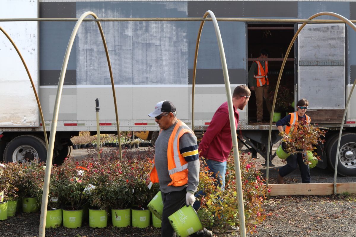 What’s New and Fresh, 24 Nov 2019