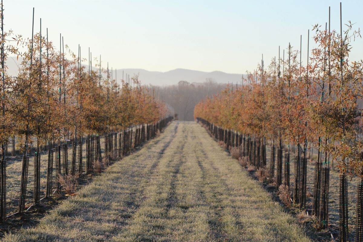 In the Field, 23 Dec 2019