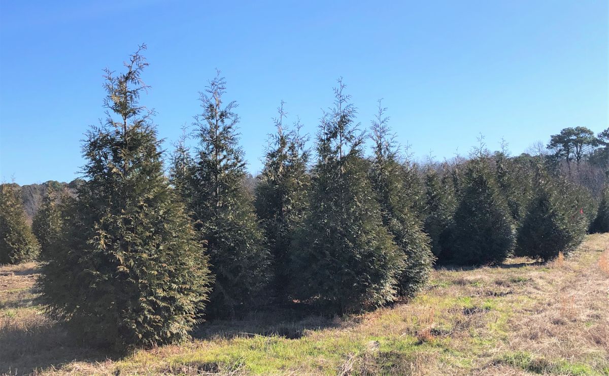 In the Field, 9 Mar 2020