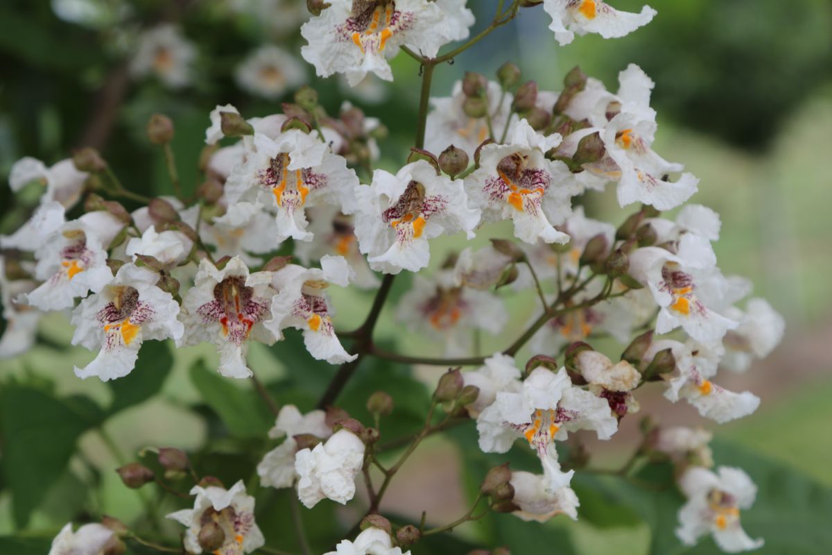 In the Field, 21 Jun 2021