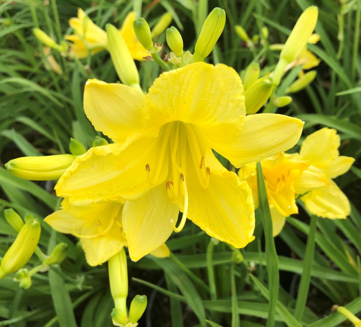 What’s New and Fresh, 16 Jun 2021