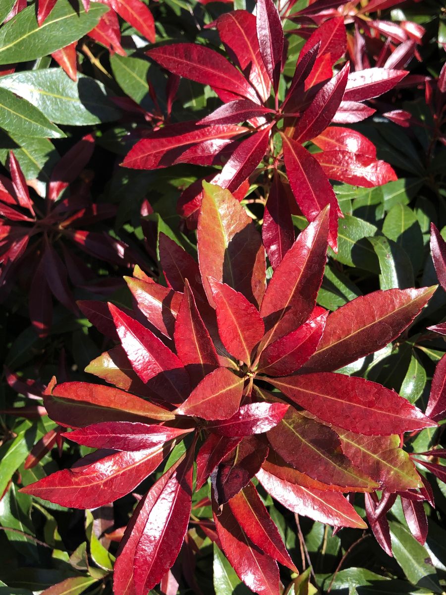 What’s New and Fresh, 25 Jun 2021