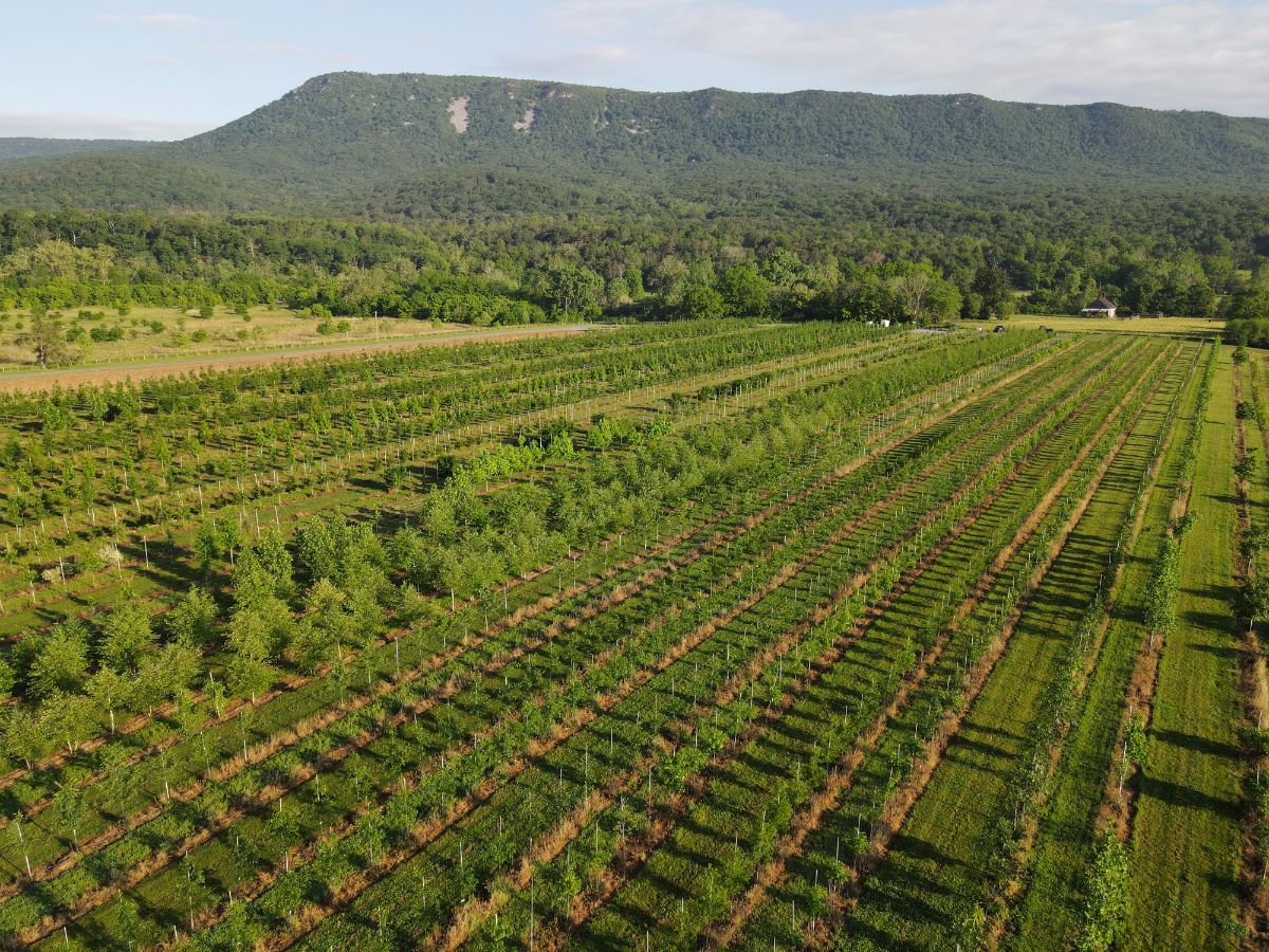 In the Field, 7 Jun 2021