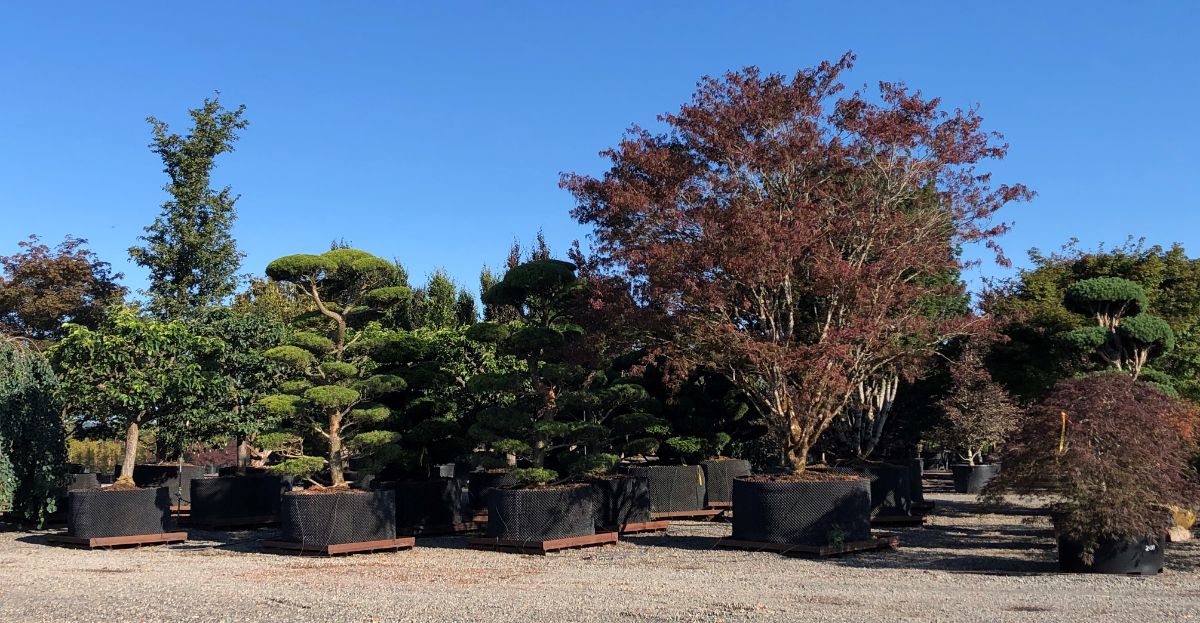 In the Field, 2 Aug 2021