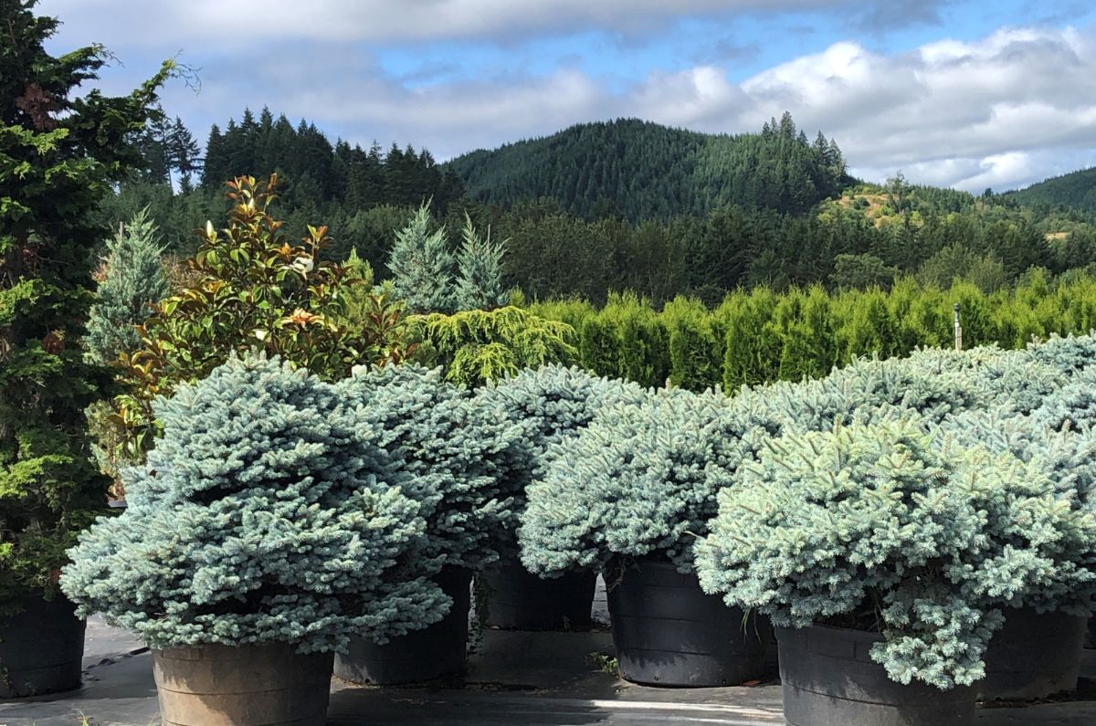 In the Field, 27 Aug 2021