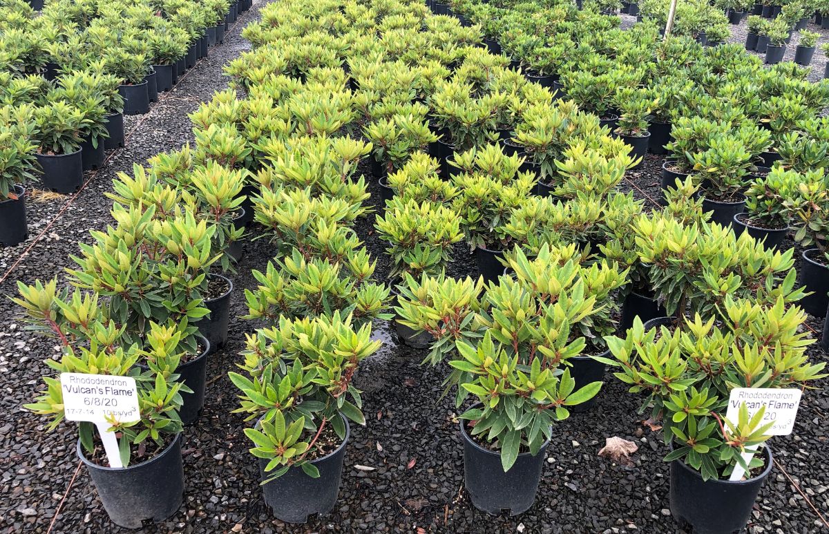 In the Field, 19 Aug 2021