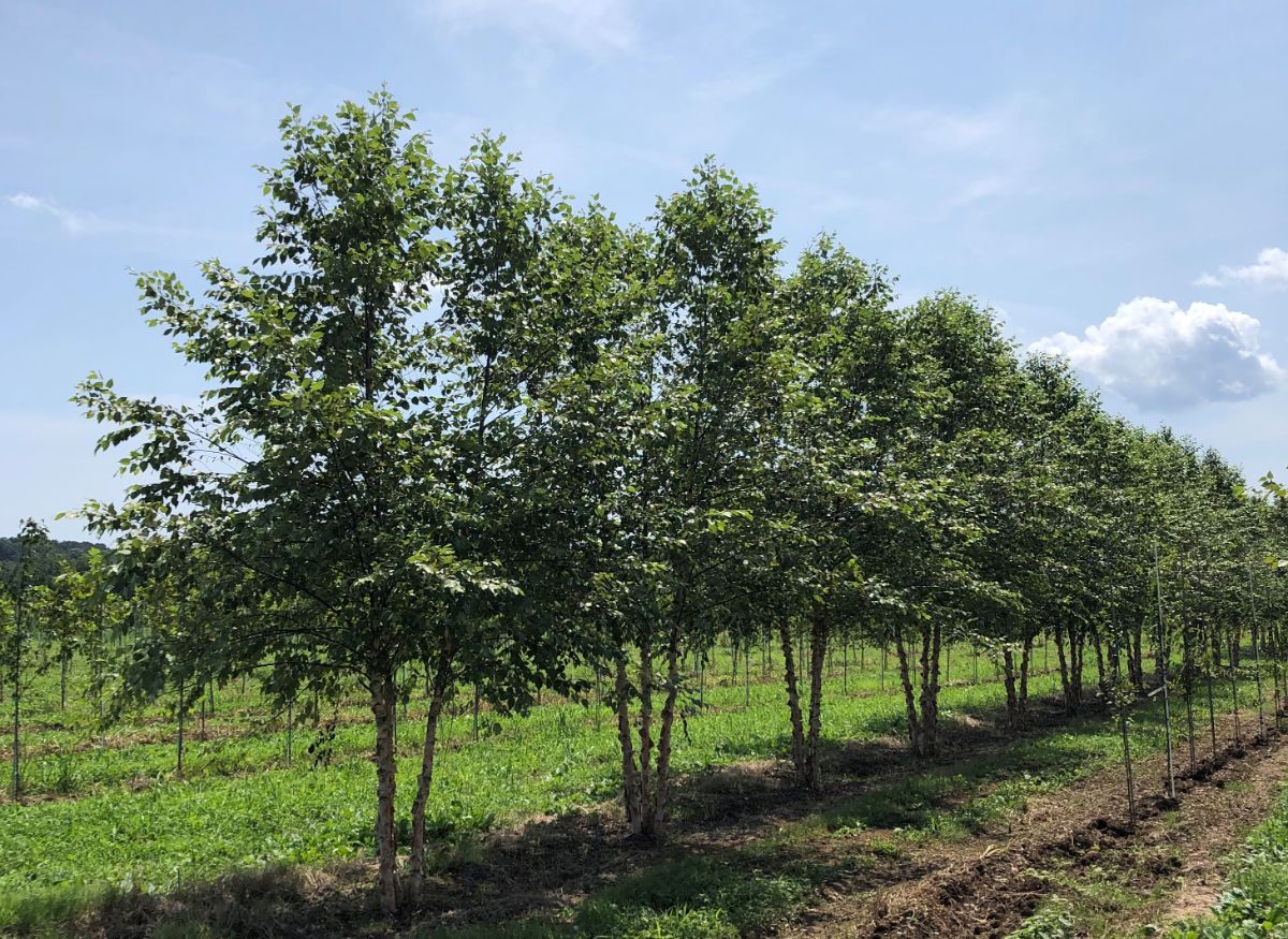 In the Field, 20 Sept 2021