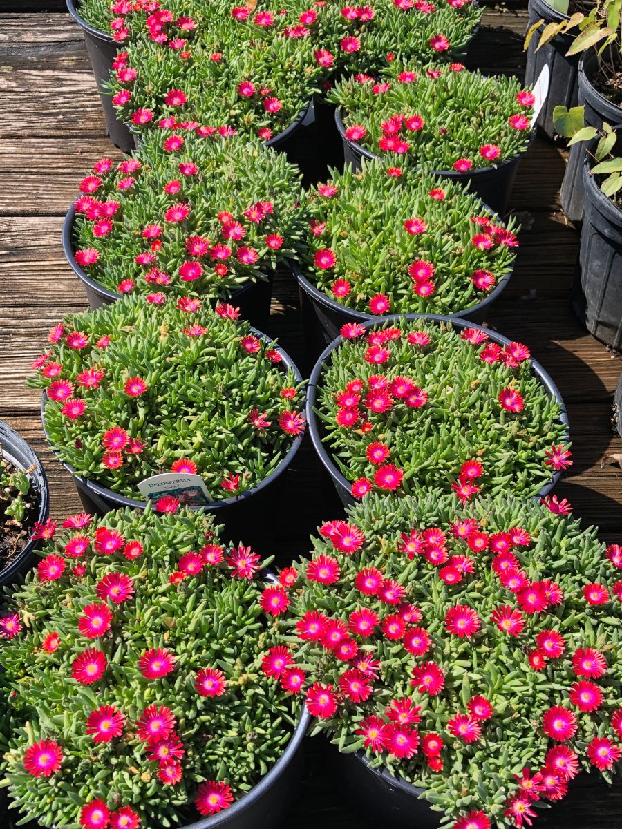 What’s New and Fresh, 14 Sept 2021