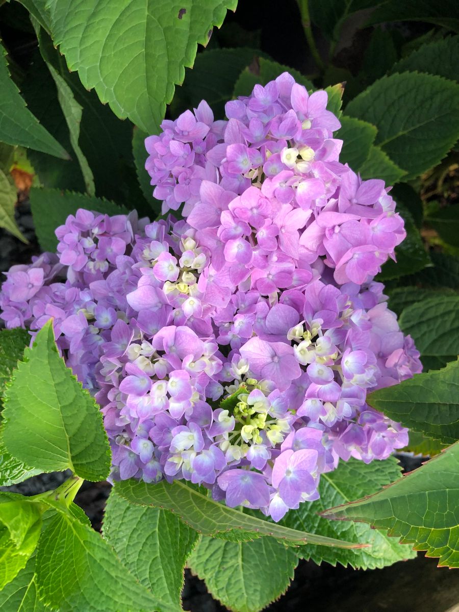 What’s New and Fresh, 30 Sept 2021