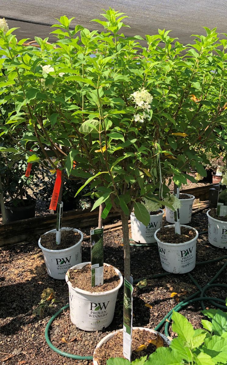 What’s New and Fresh, 6 Sept 2021