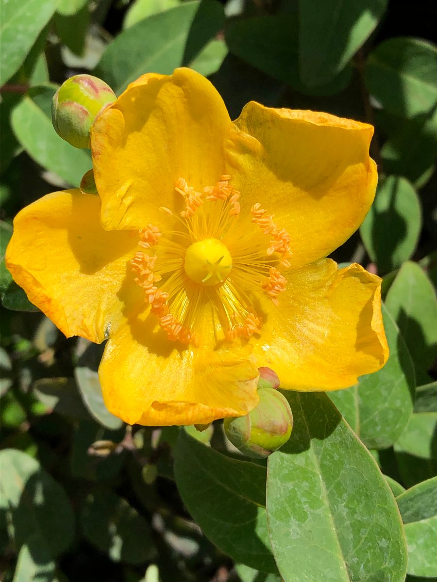 What’s New and Fresh, 22 Sept 2021