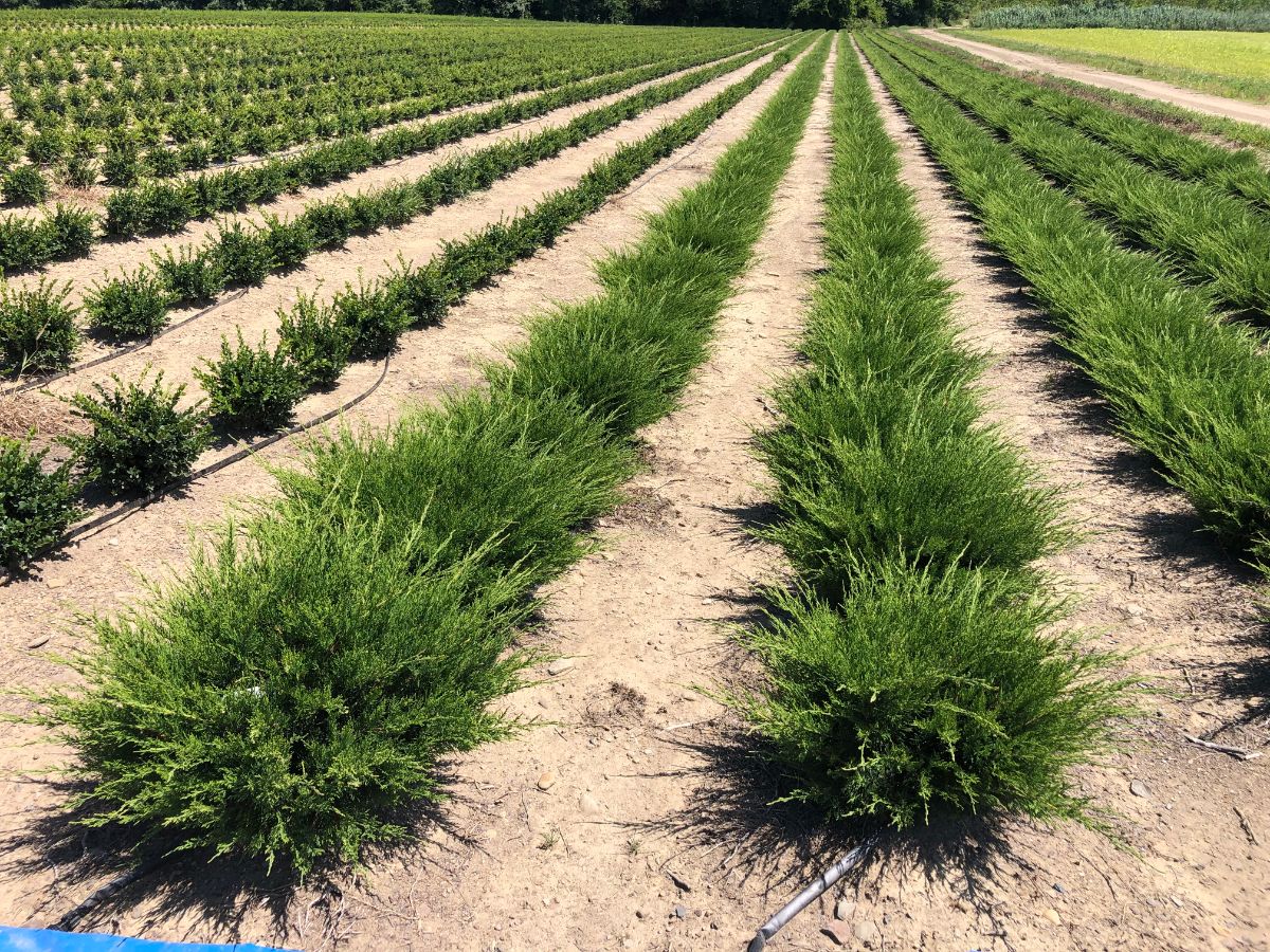 In the Field, 8 Sept 2021