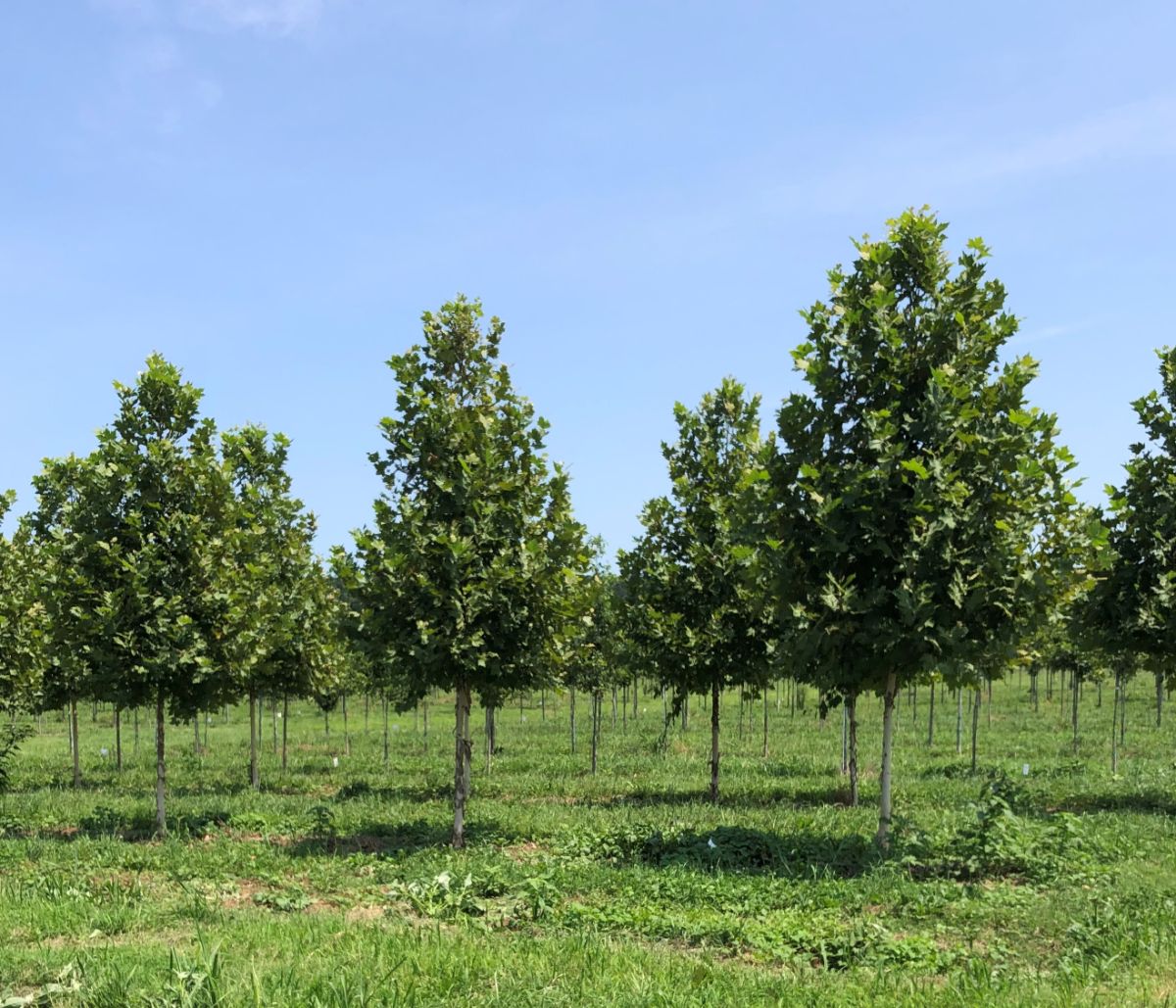 In the Field, 16 Sept 2021