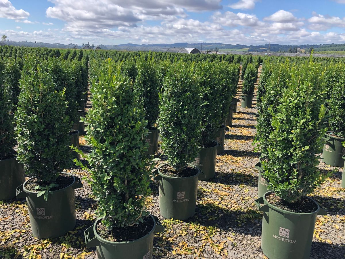 In the Field, 30 Oct 2021