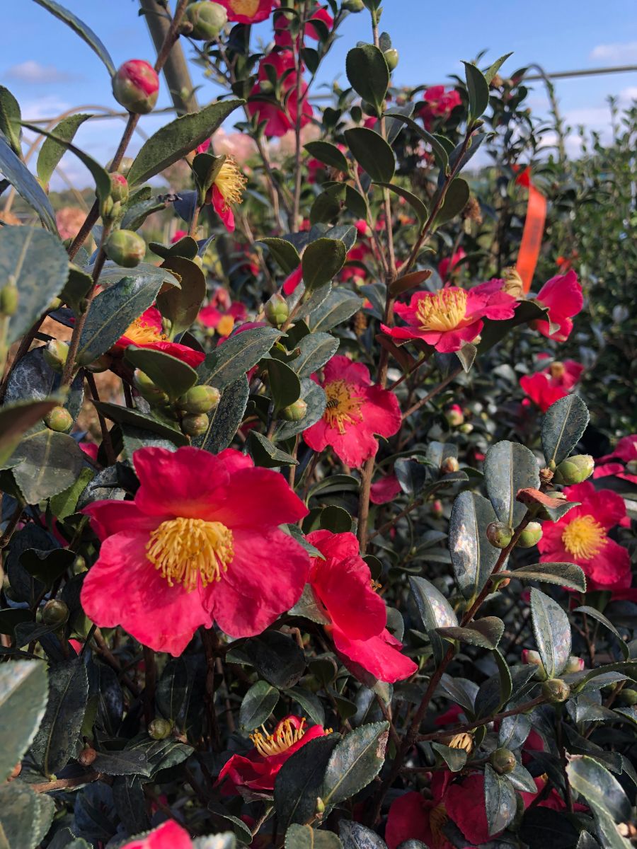 What’s New and Fresh, 1 Nov 2021