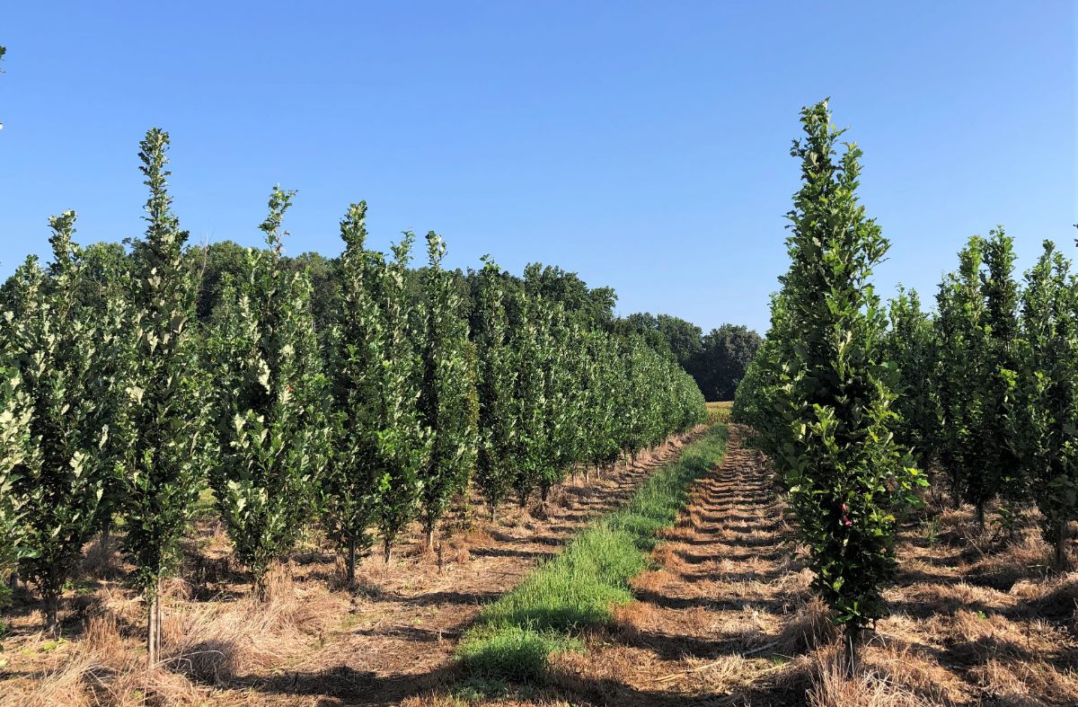 In the Field, 2 Oct 2021