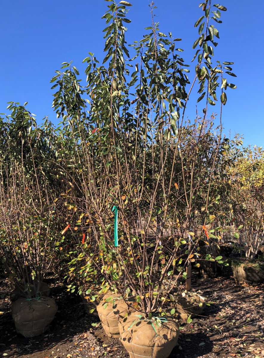 What’s New and Fresh, 21 Nov 2021