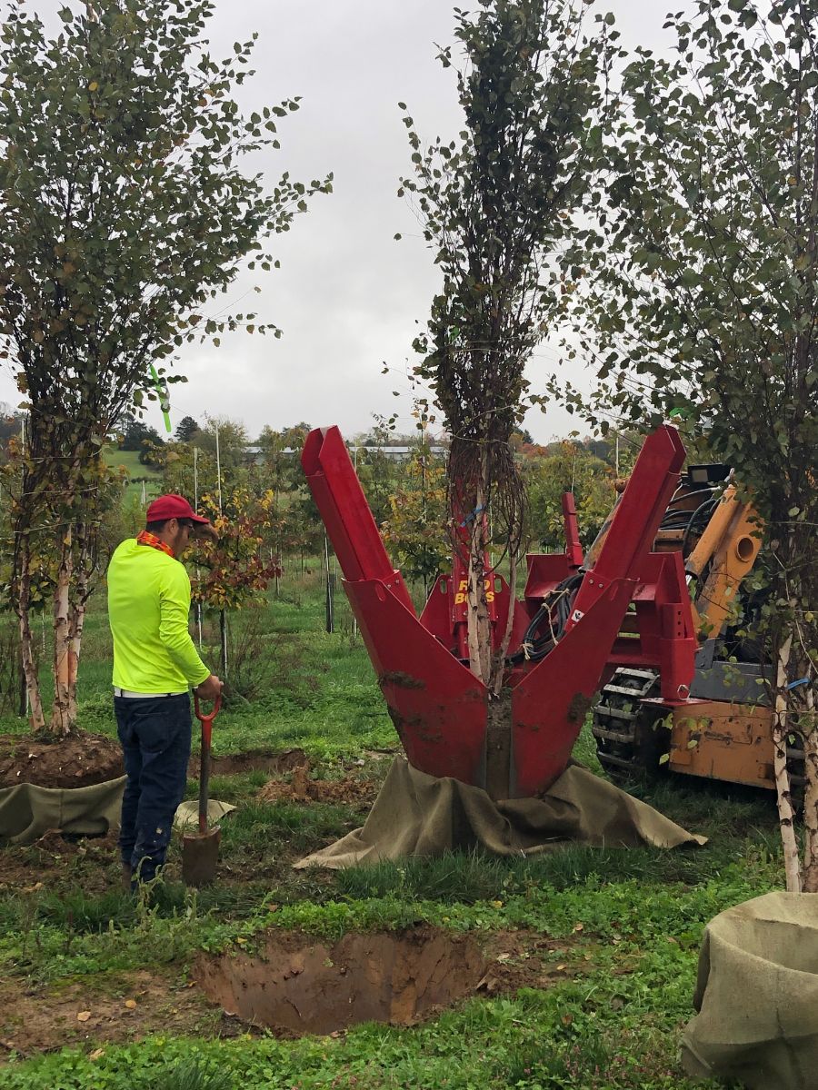 In the Field, 28 Nov 2021