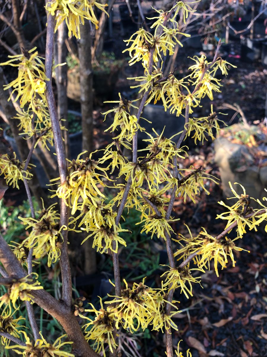 What’s New and Fresh, 1 Dec 2021