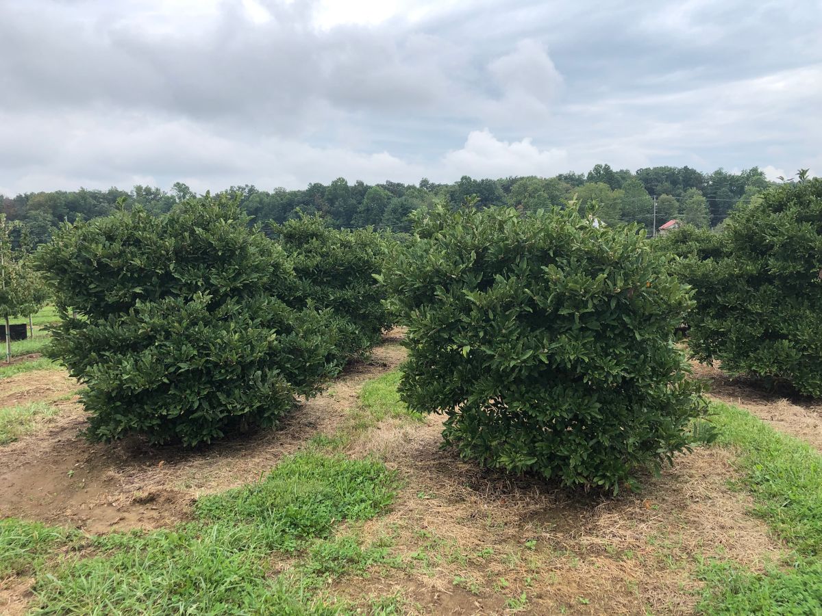 In the Field, 15 Nov 2021