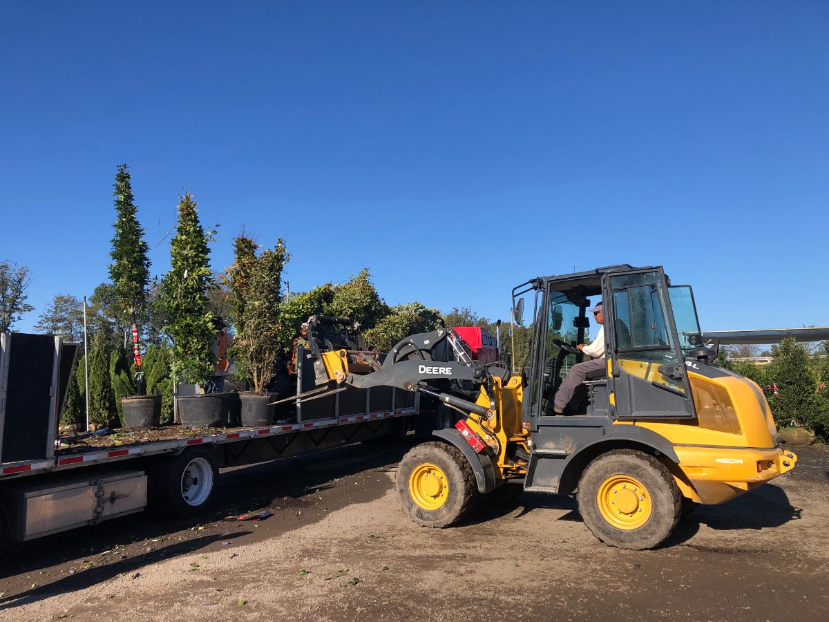 What’s New and Fresh, 9 Nov 2021