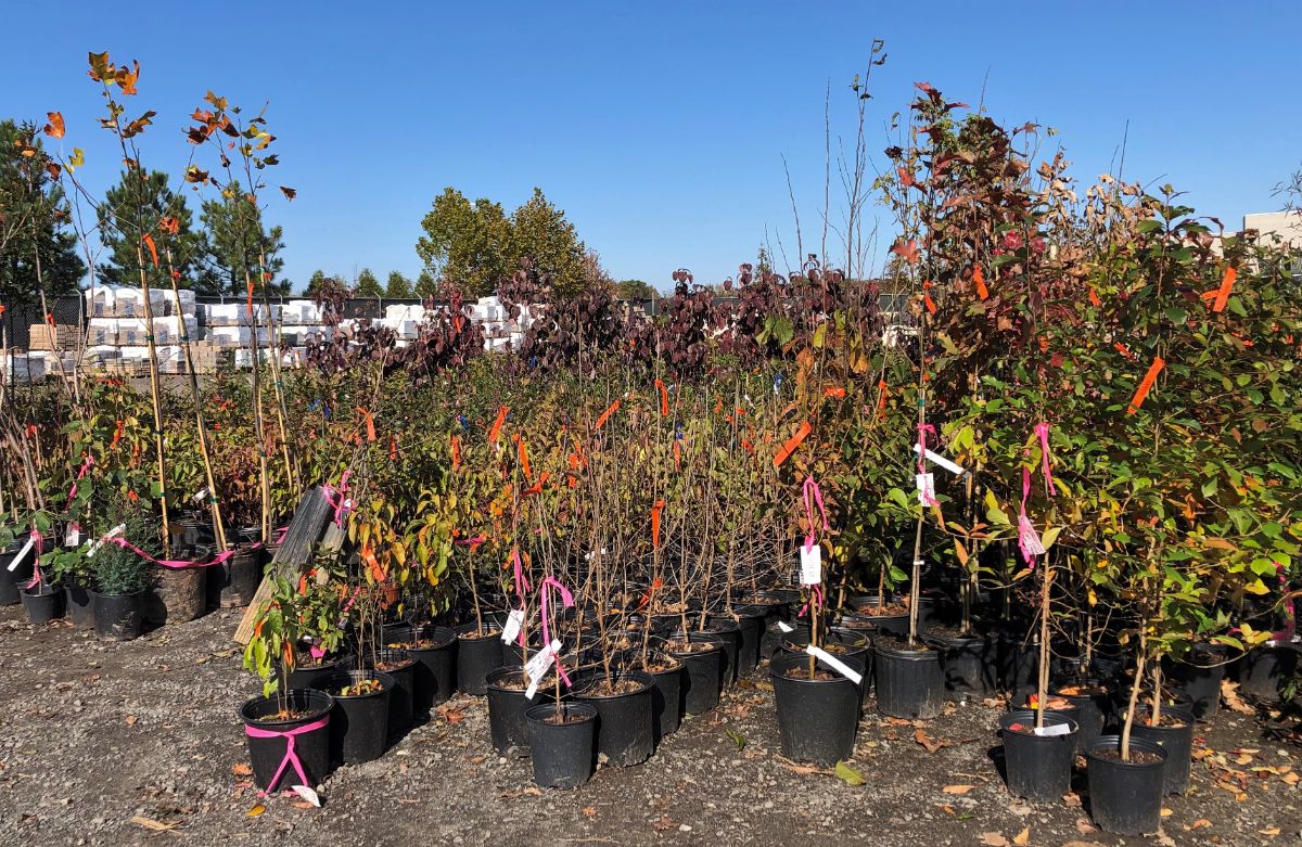 What’s New and Fresh, 25 Nov 2021