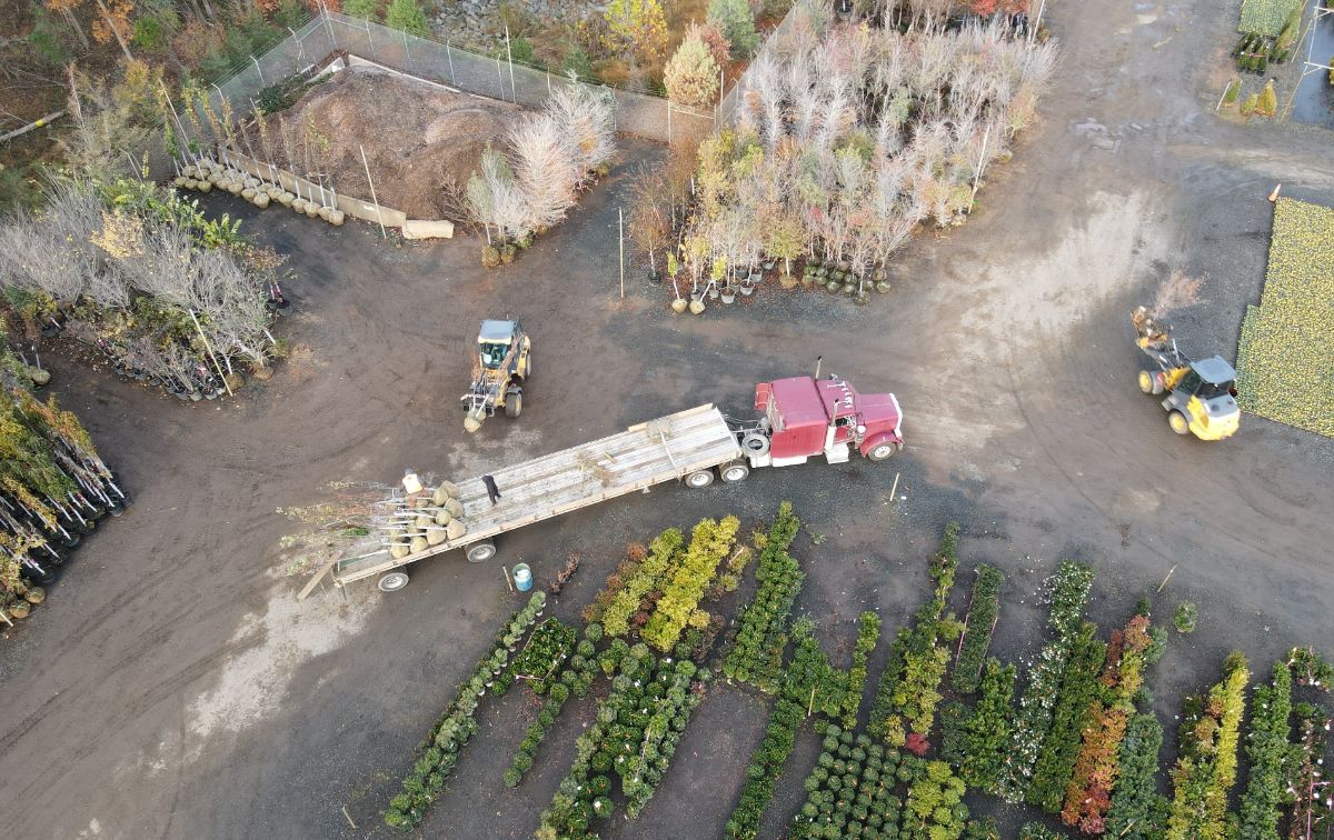 What’s New and Fresh, 13 Nov 2021