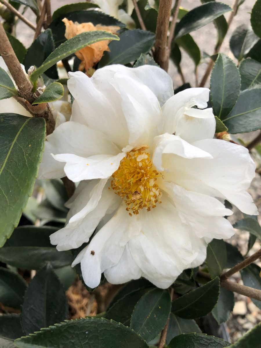 What’s New and Fresh, 25 Dec 2021