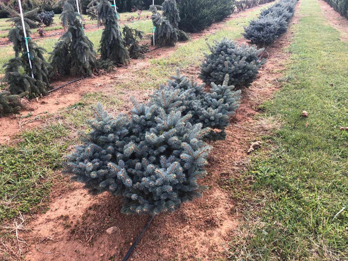 In the Field, 21 Dec 2021