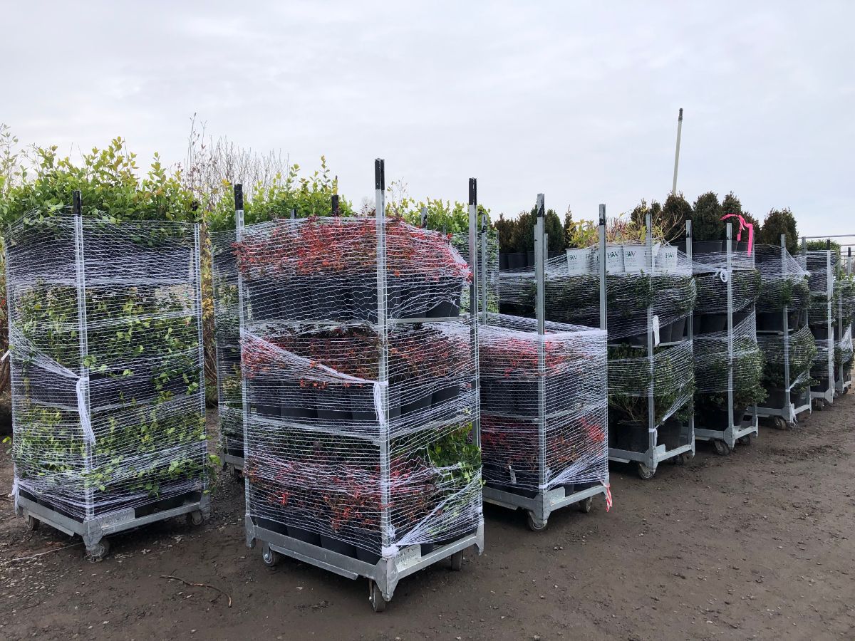 What’s New and Fresh, 17 Dec 2021