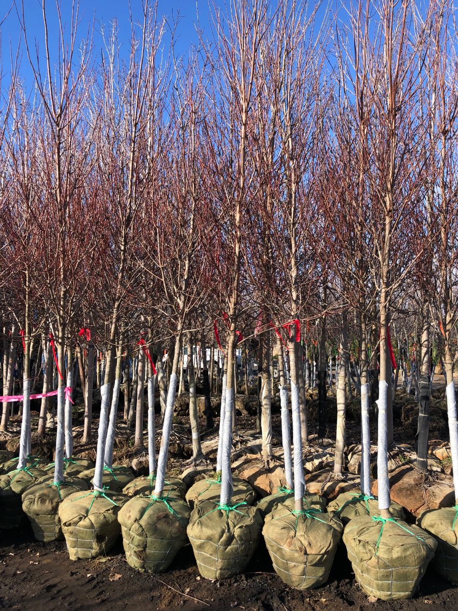 What’s New and Fresh, 8 Jan 2022