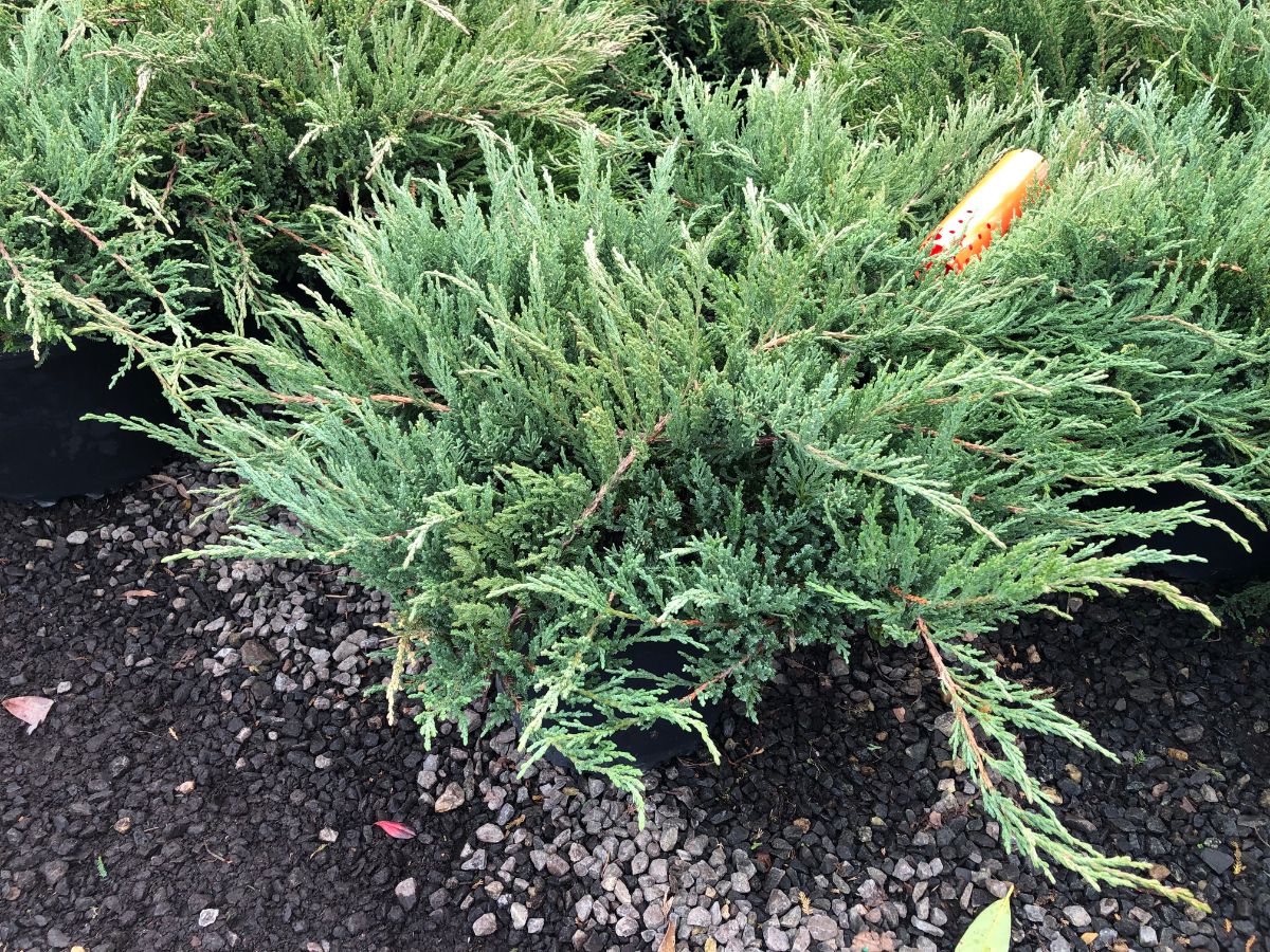 What’s New and Fresh, 29 Jan 2022