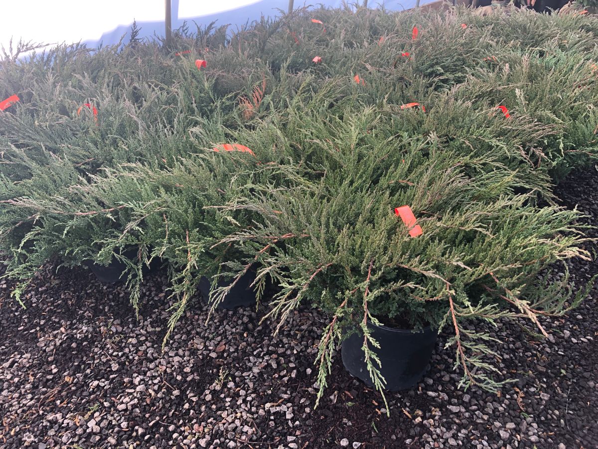 What’s New and Fresh, 24 Febr 2022