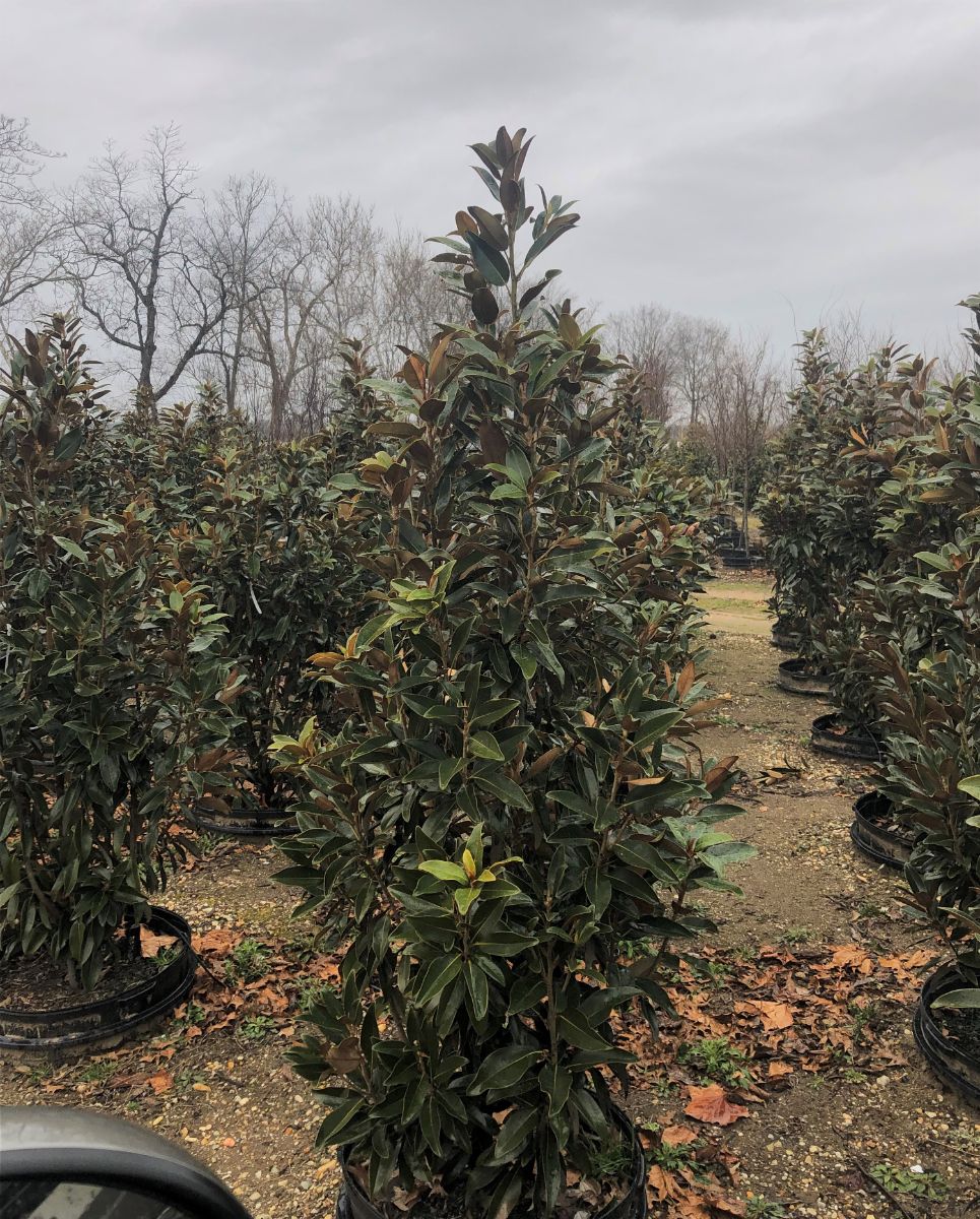 In the Field, 1 Mar 2022