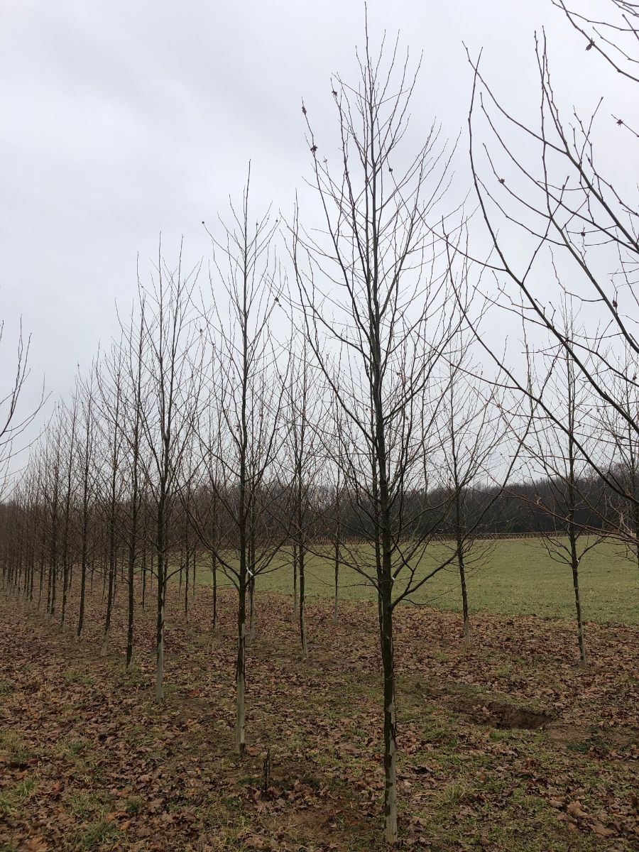 In the Field, 12 Febr 2022