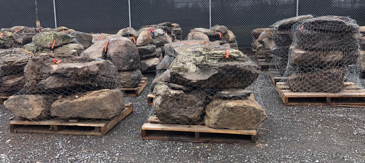 What’s New and Fresh, 7 Mar 2022