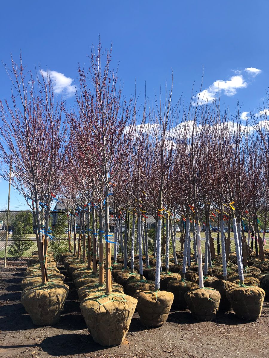 What’s New and Fresh, 28 Mar 2022