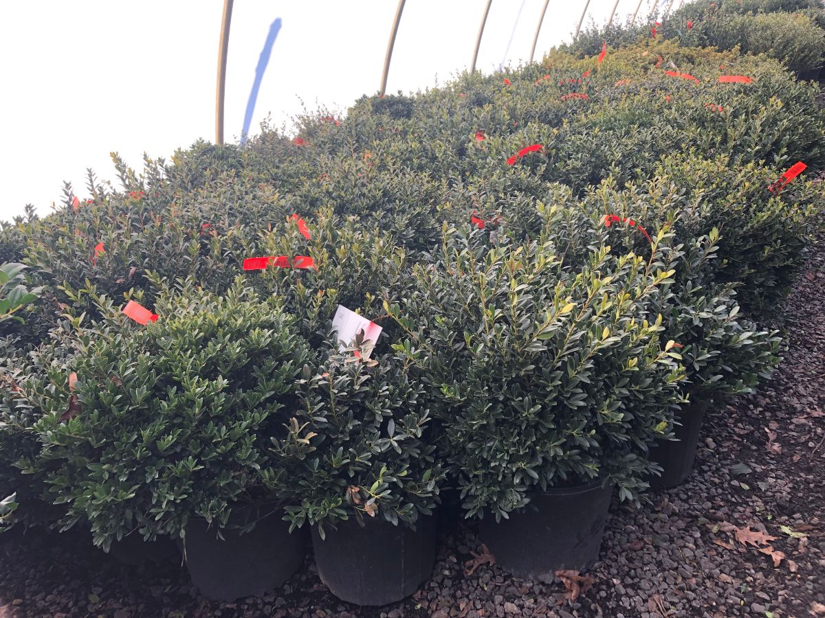 What’s New and Fresh, 4 Mar 2022