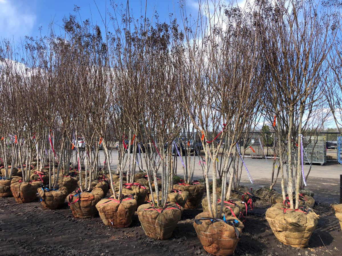 What’s New and Fresh, 22 Mar 2022