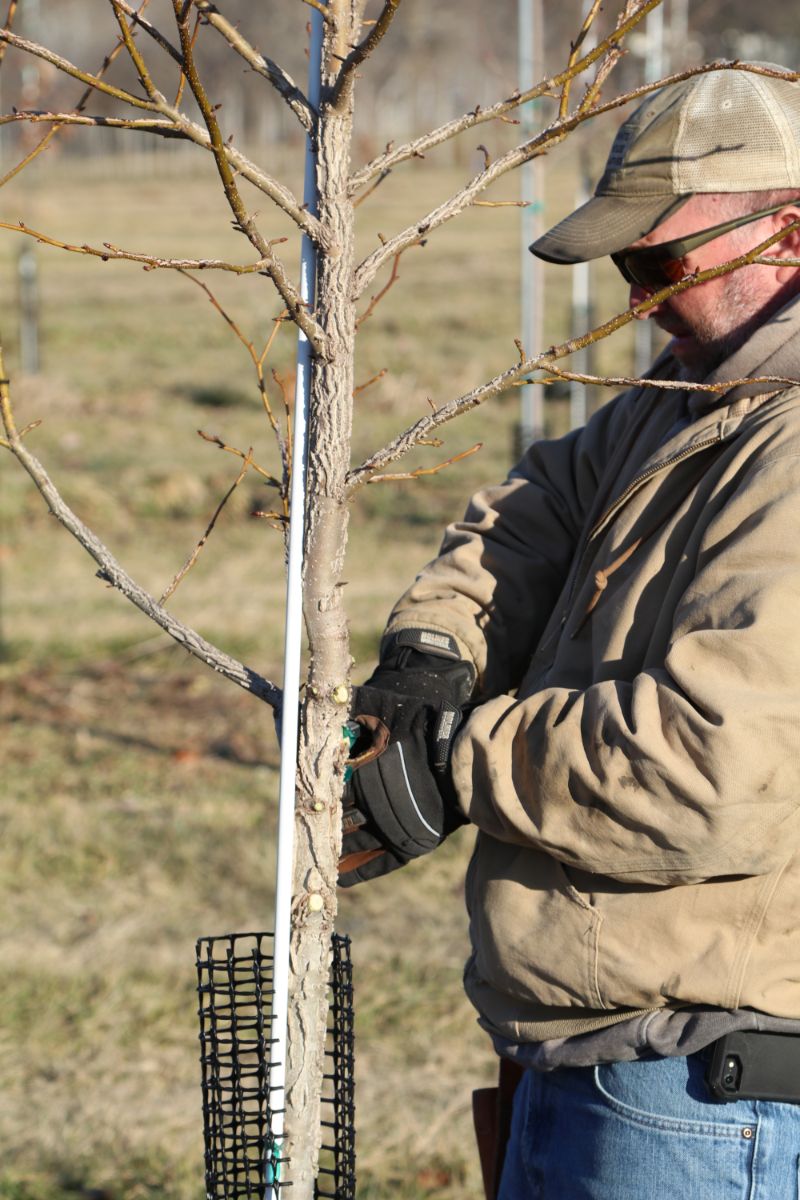 In the Field, 25 Mar 2022