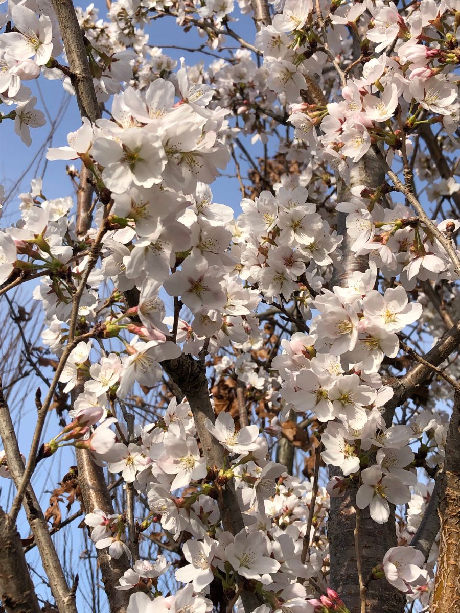 What’s New and Fresh, 31 Mar 2022