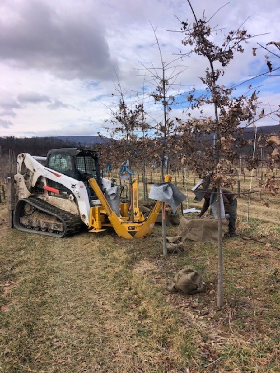 In the Field, 10 Mar 2022