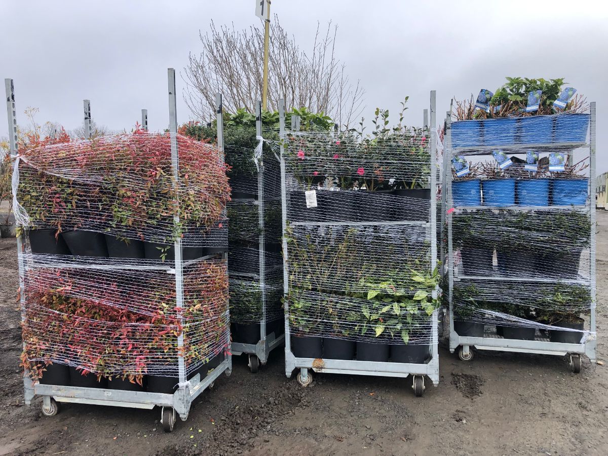 What’s New and Fresh, 13 Mar 2022