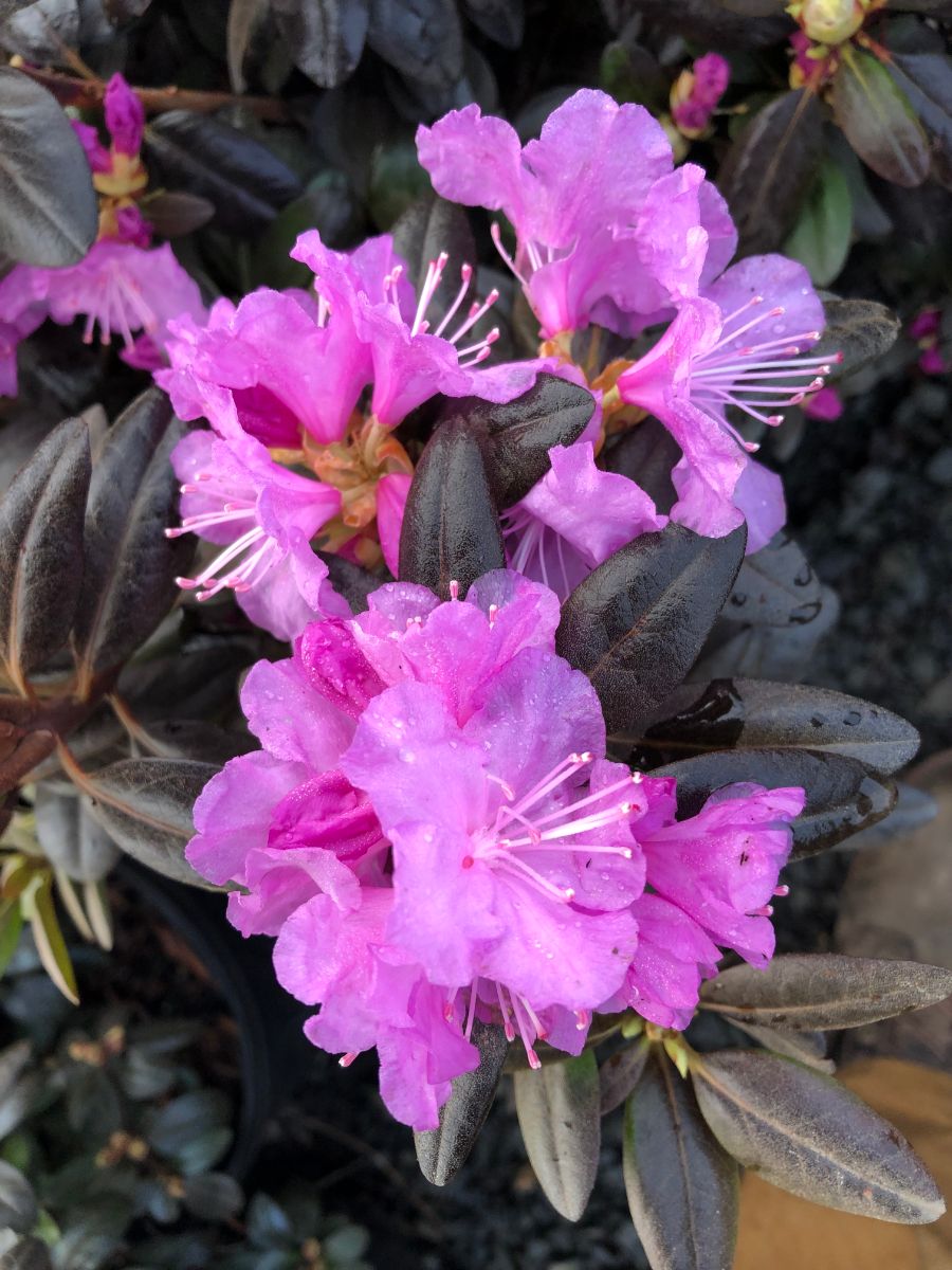 What’s New and Fresh, 19 Mar 2022