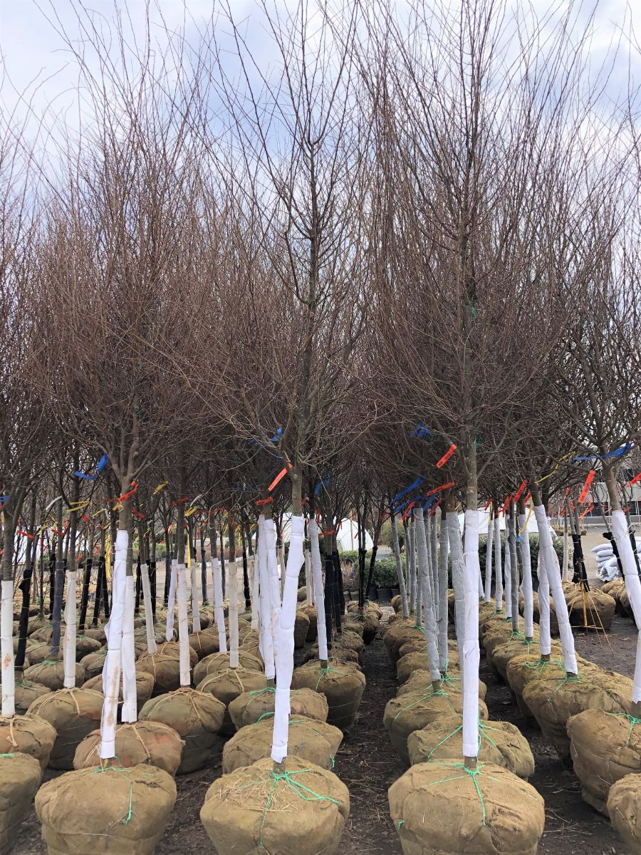 What’s New and Fresh, 16 Mar 2022