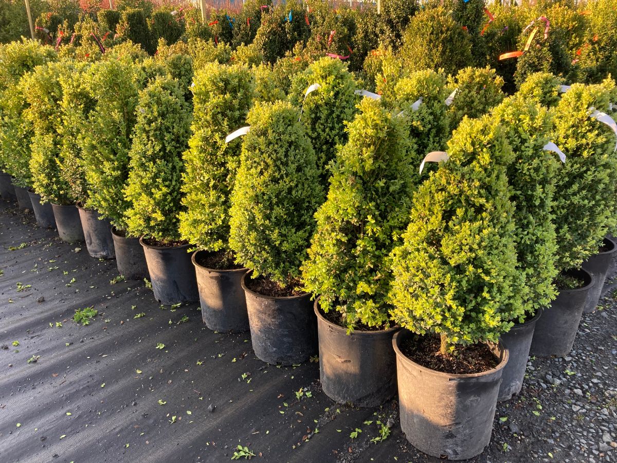 What’s New and Fresh, 21 Apr 2022