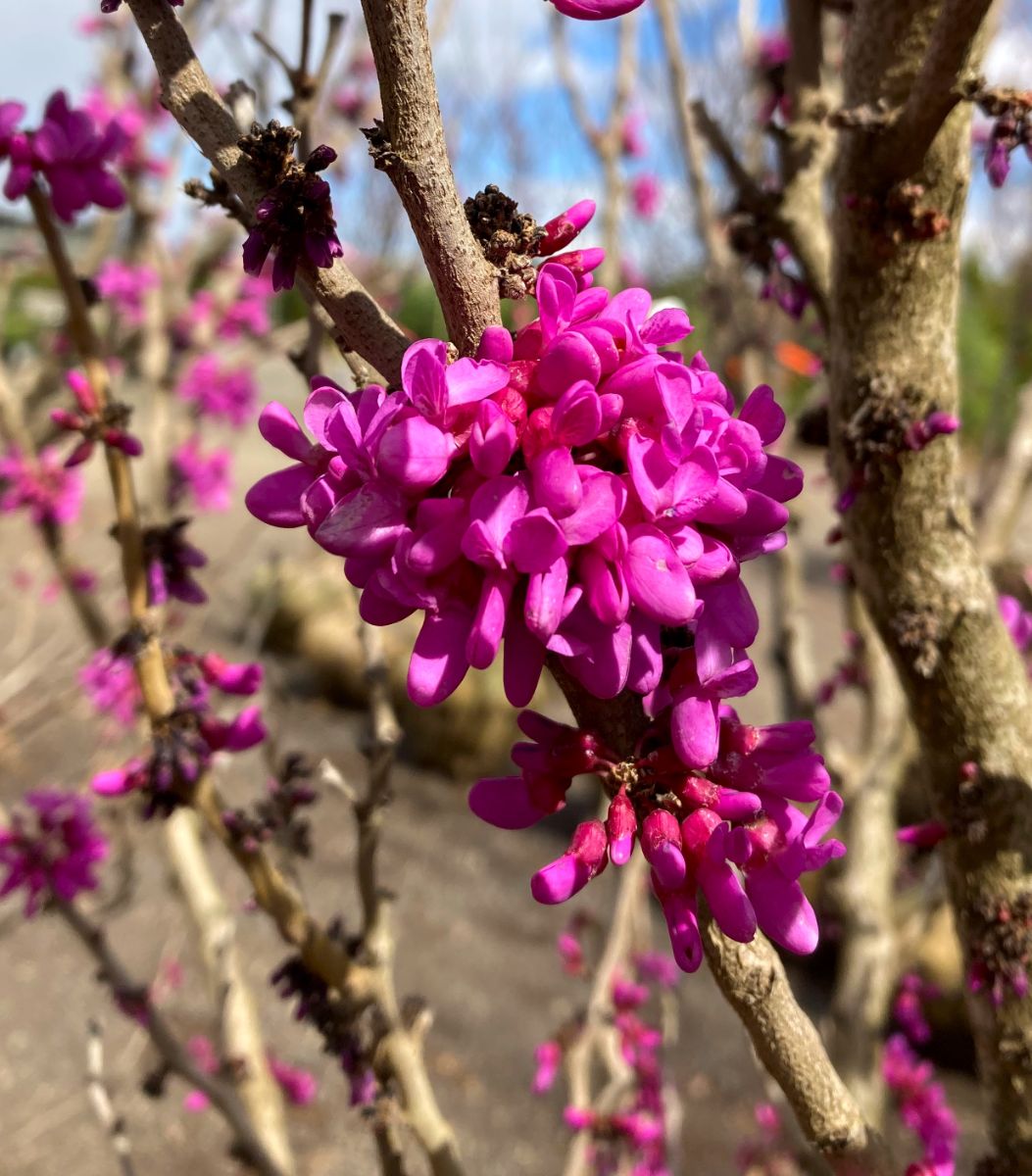 What’s New and Fresh, 6 Apr 2022