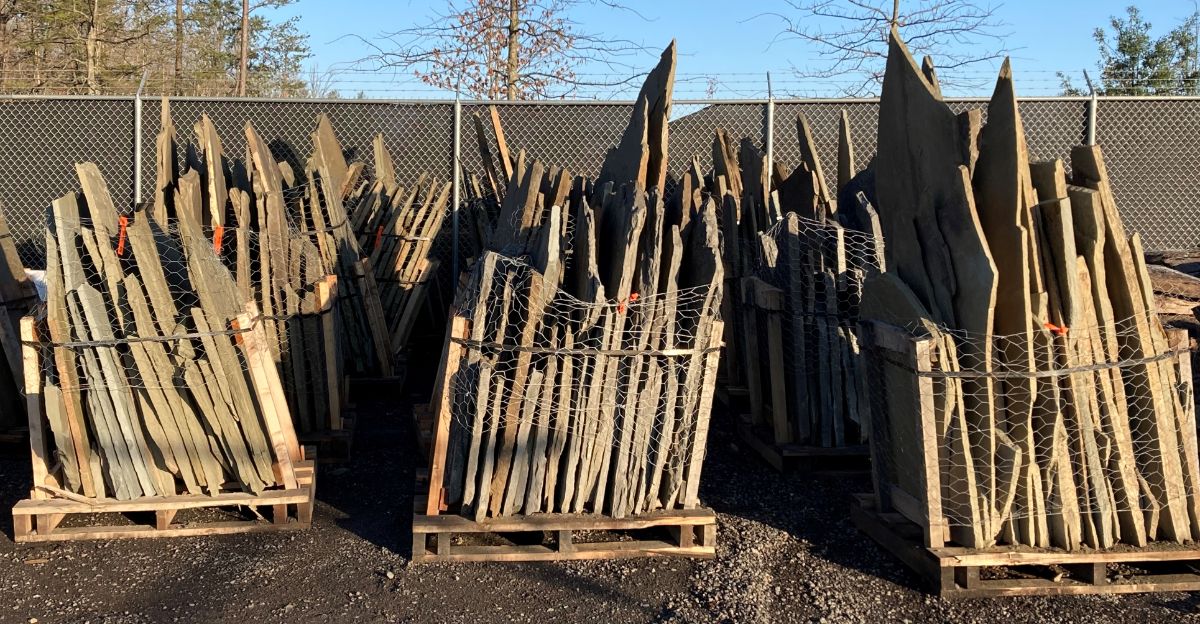 What’s New and Fresh, 15 Apr 2022